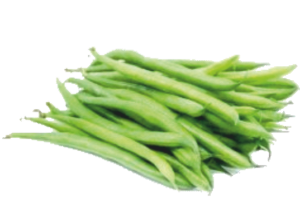 haricots verts std