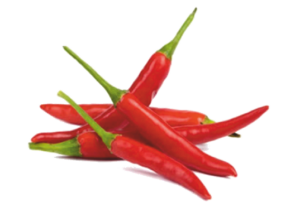red bird eye chillies std