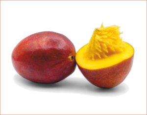 mango raw framed std